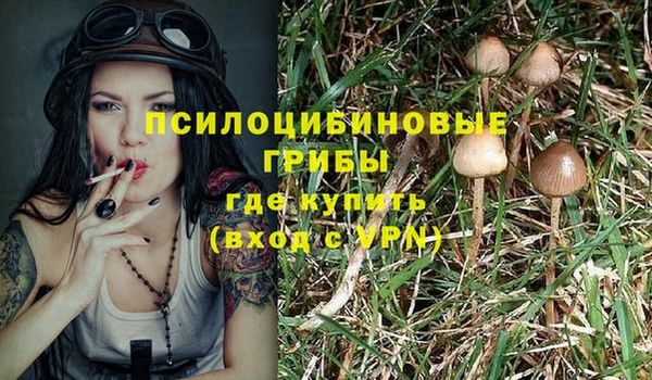 мет Сафоново